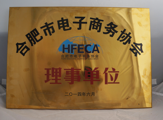 三酉企业祝贺合肥市电子商务协会正式成立并越办越好