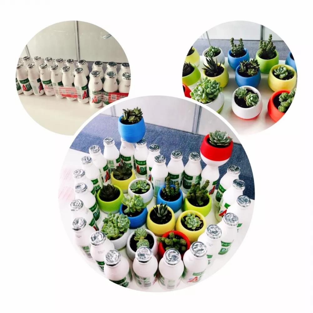 生日快乐！ 三酉企业贝贝项目员工生日会