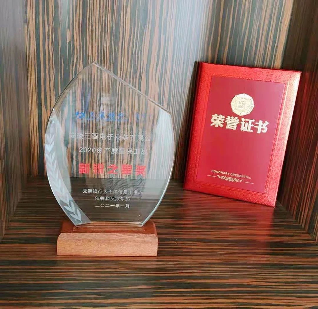 安徽三酉交行催收项目荣获新锐之星奖