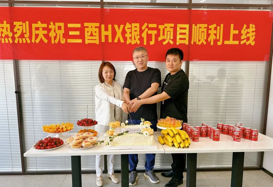 聚新势，启新程！安徽三酉HX项目正式启动