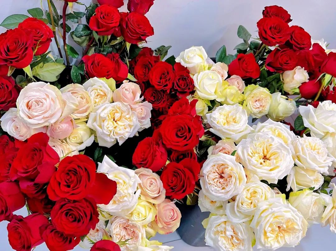 春日繁花，玫瑰赠你！祝女神们节日快乐！